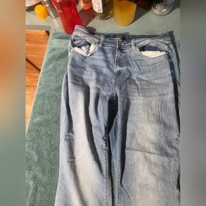 18W Judy Blue Relaxed Fit Jeans